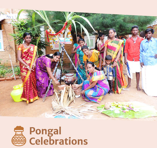 Pongal Celebrations